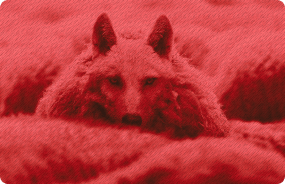 img-mod-4